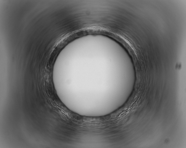 X0000101200823200806270828