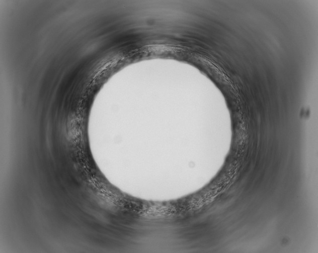 X0000101200824200806270828