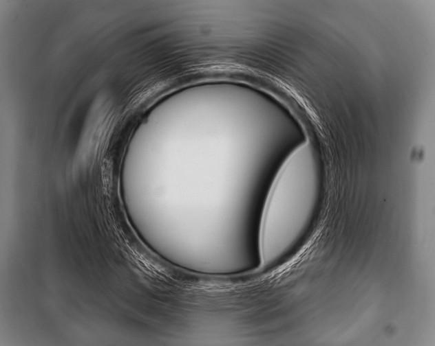 X0000101200825200806270828