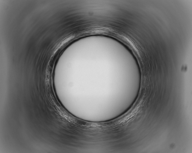 X0000101200827200806270828