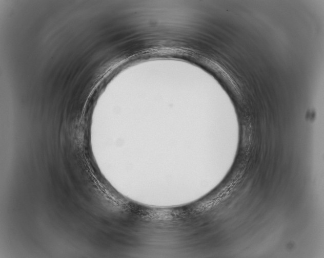 X0000101200828200806270828