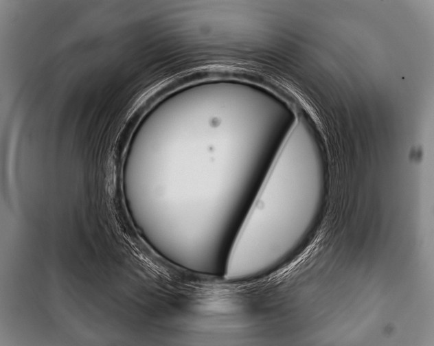 X0000101200829200806270828