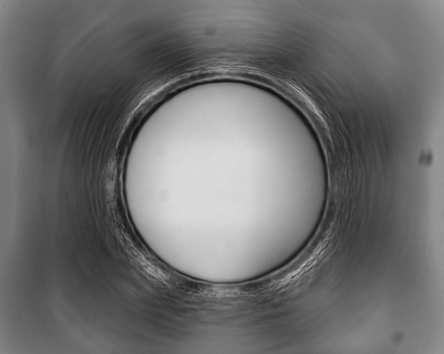X0000101200831200806270828