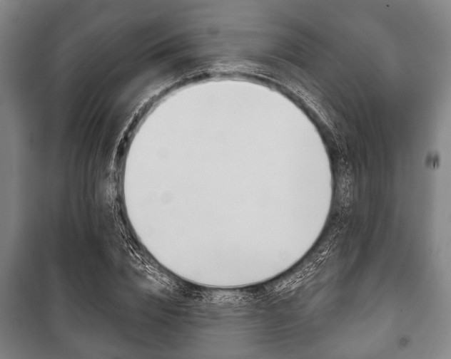 X0000101200832200806270828