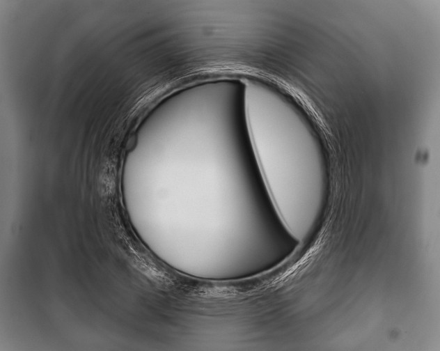 X0000101200833200806270828