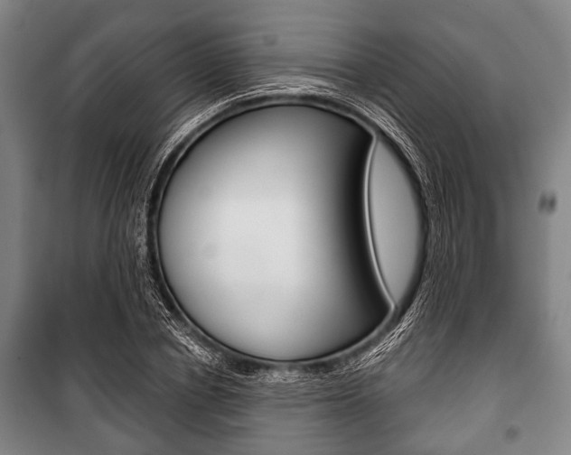 X0000101200834200806270828