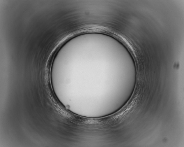 X0000101200835200806270828