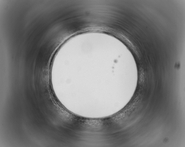 X0000101200836200806270828
