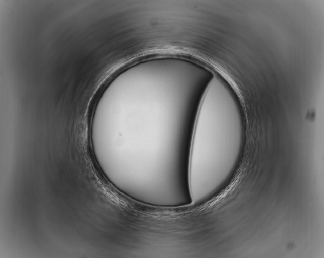 X0000101200837200806270828