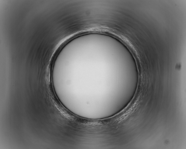 X0000101200838200806270828