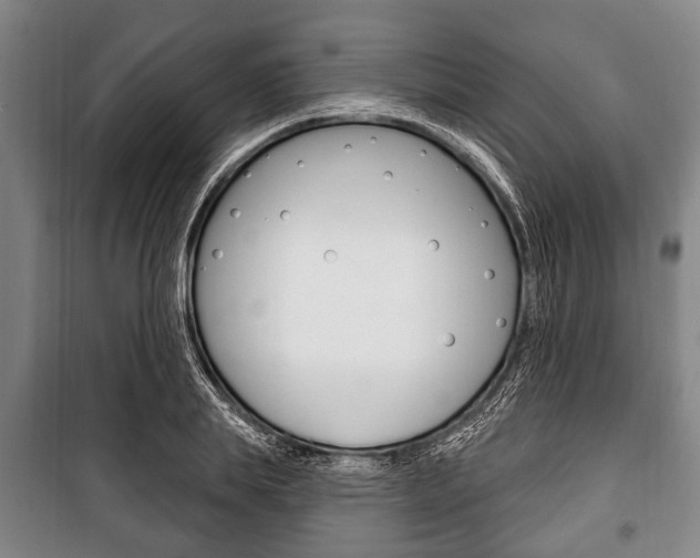 X0000101200839200806270828