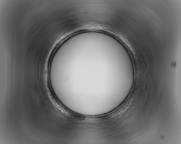 X0000101200840200806270828
