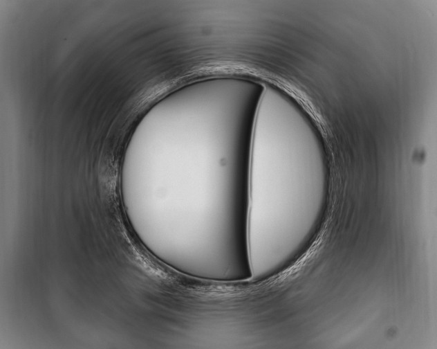 X0000101200841200806270828