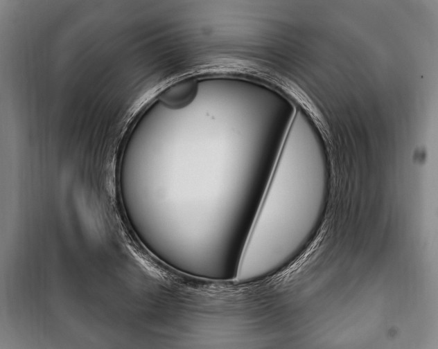 X0000101200842200806270828