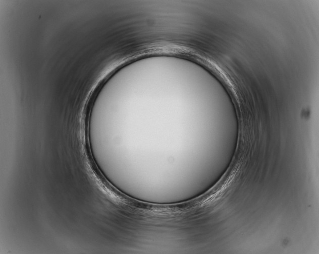 X0000101200843200806270828
