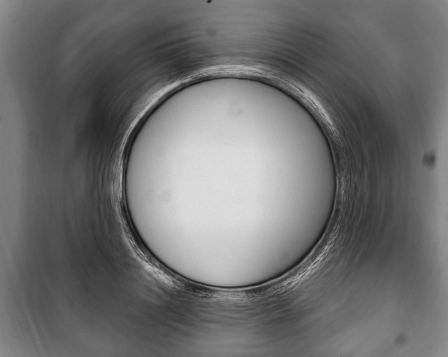 X0000101200844200806270828