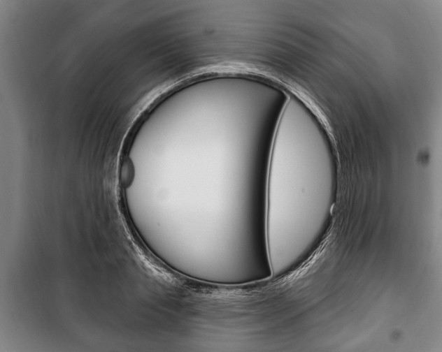 X0000101200845200806270828