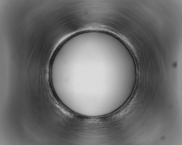 X0000101200846200806270828