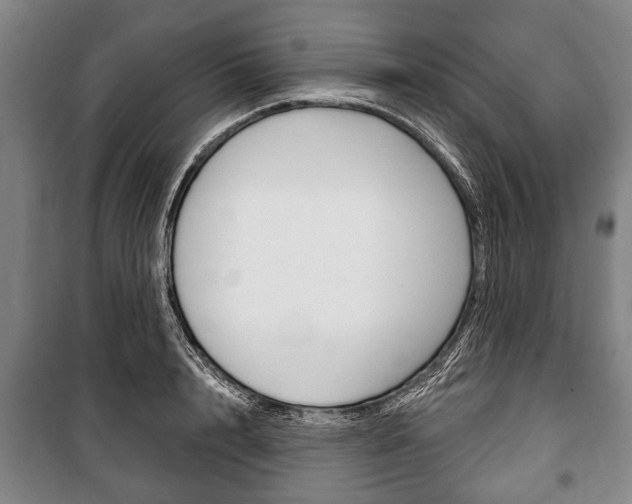 X0000101200848200806270828