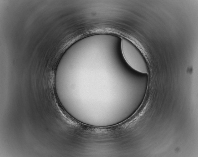 X0000101200849200806270828
