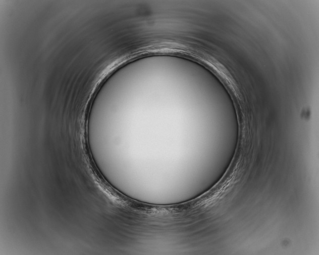 X0000101200850200806270828