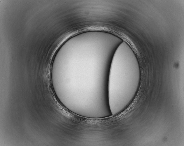 X0000101200852200806270828