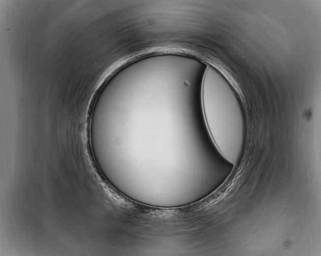 X0000101200853200806270828