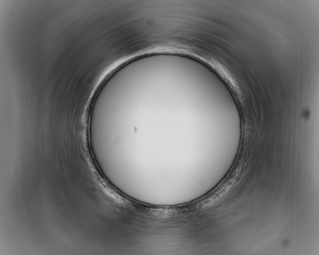 X0000101200854200806270828