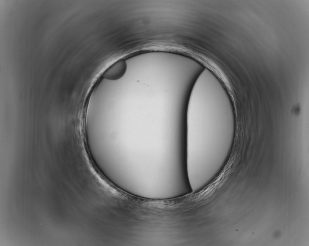 X0000101200855200806270828