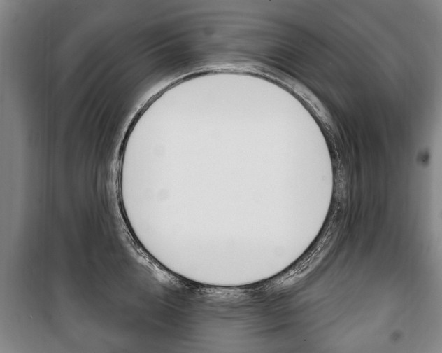 X0000101200856200806270828
