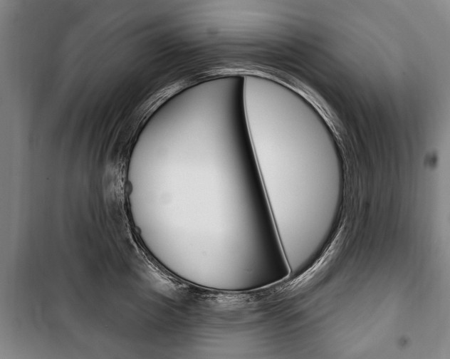 X0000101200857200806270828