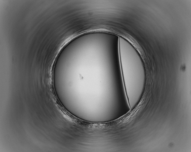 X0000101200858200806270828