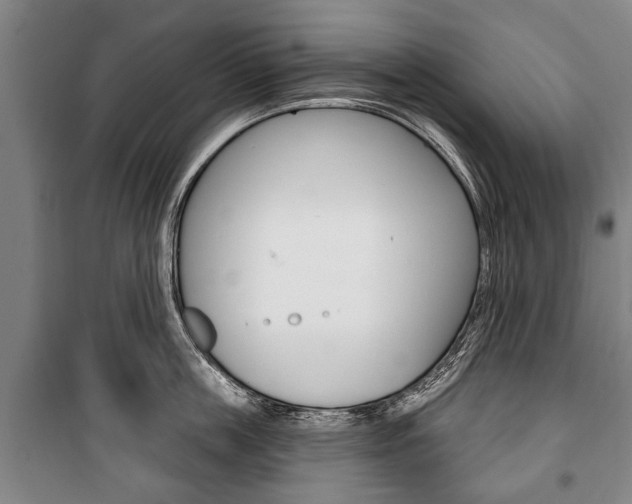 X0000101200859200806270828