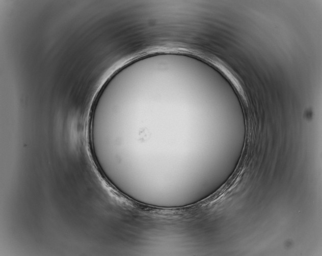 X0000101200861200806270828