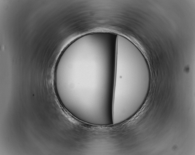 X0000101200862200806270828