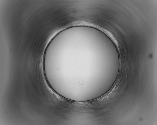 X0000101200863200806270828