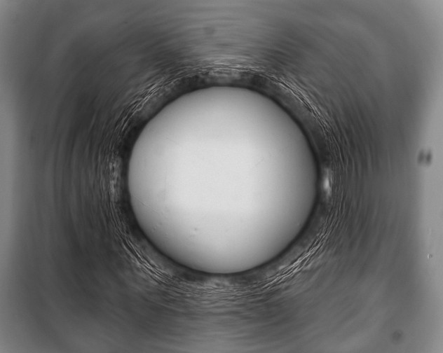 X0000101200867200806270827
