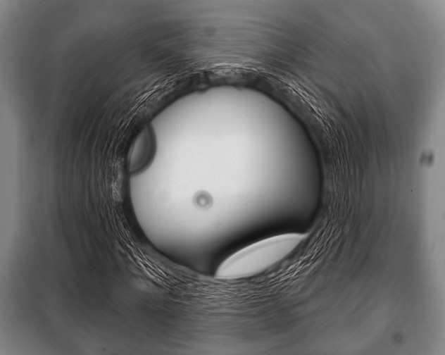 X0000101200868200806270827