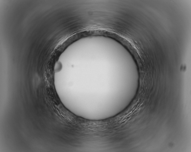 X0000101200871200806270827