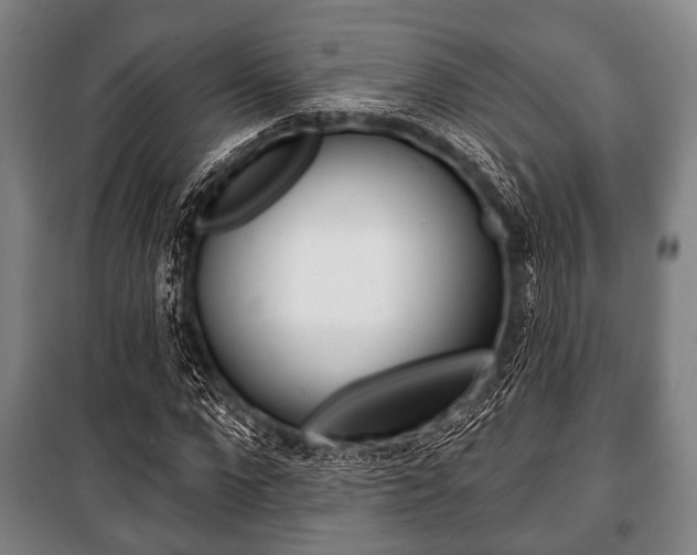 X0000101200872200806270827