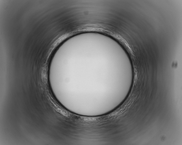 X0000101200882200806270827