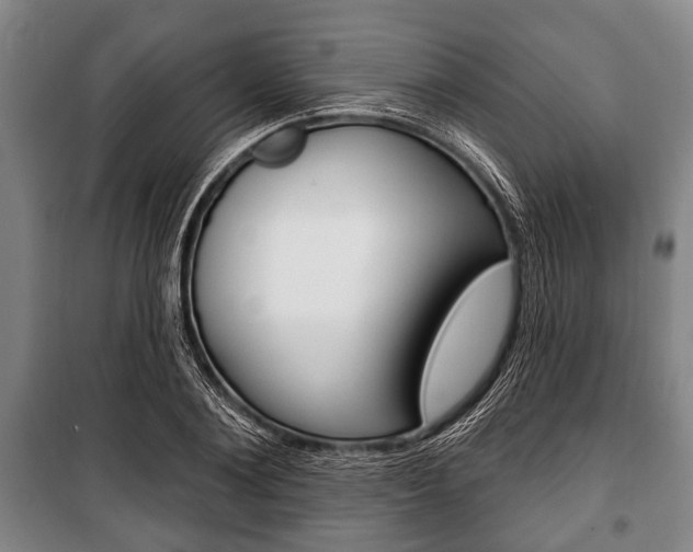 X0000101200884200806270827