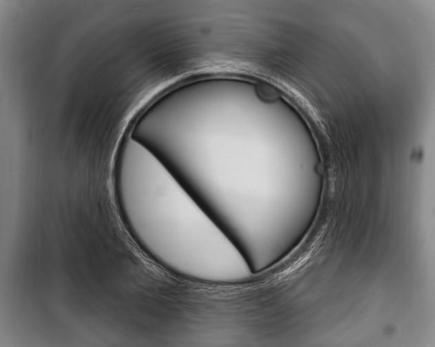 X0000101200885200806270827