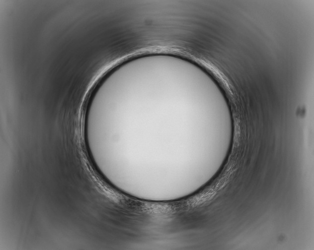 X0000101200886200806270827