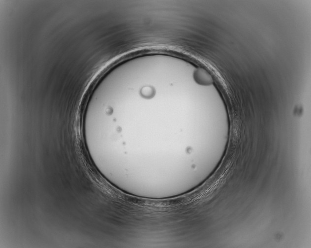 X0000101200887200806270827
