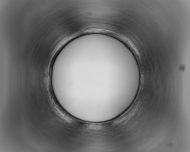 X0000101200890200806270827