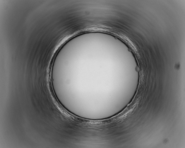 X0000101200893200806270827