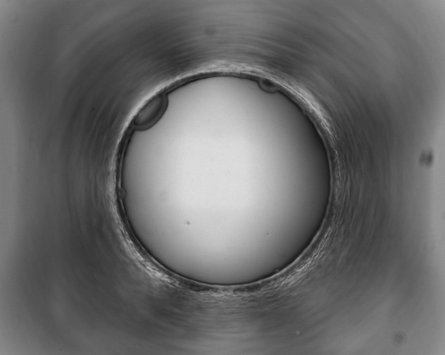 X0000101200896200806270827