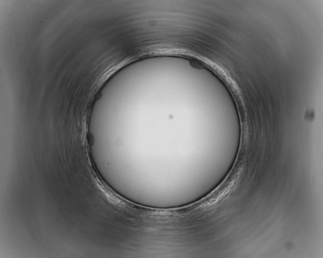X0000101200897200806270827