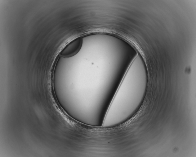 X0000101200898200806270827